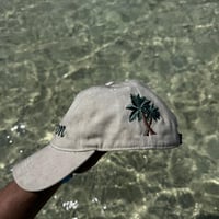 Beige Palm Limited Edition