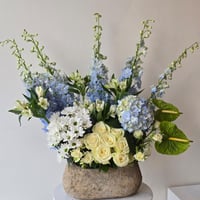 فازة ورد هولندي