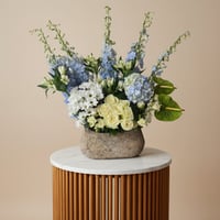 فازة ورد هولندي