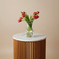 فازة توليب اورنج هولندي