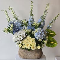 فازة ورد هولندي