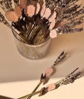 توزيعات زهرة اللافندر