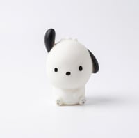 بوتشاكو