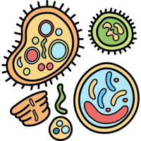 استراتيجيات فعّالة ومهارات متقدمة لتدريس مقررات ال...