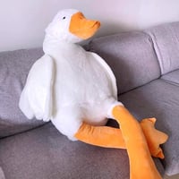 50CM