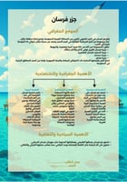 مشروع جزيرة فرسان