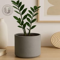 مركن ديكوري اسطواني M6