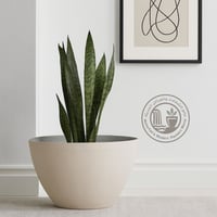 مركن ديكوري بيضاوي M5