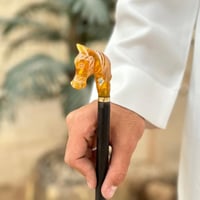 عصا الخيل برتقالي شفاف صغير