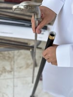 عصا غداره نسر