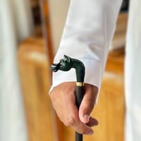 عصا الخيل زيتي صغير