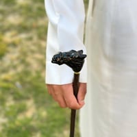 عصا الناقه اسود