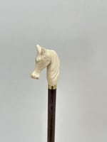 عصا الحصان ابيض كبير