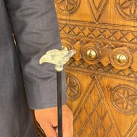 عصا الصقر رمادي مموج صغير