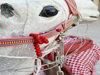 سبحه عقيق احمر