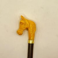 عصا الخيل اصفر صغير