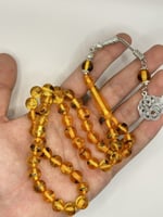 سبحه بكلايت حشرات