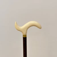 عصا طولي ابيض