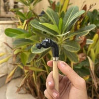 عصا الخيل كحلي خشب لوز ابيض صغير