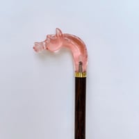 عصا الخيل شفاف ، غامق