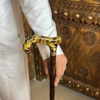 عكاز اسباني - نمري مموج