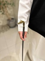 عصا الخيل عشبي مخلوط صغير