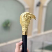 عصا غداره صقر