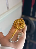 سبحه بكلايت حشرات