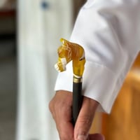 عصا الخيل برتقالي ابيض صغير