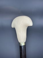 عصا الجنبيه ابيض كبير