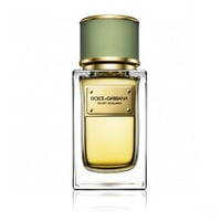 عطر دولتشي أند غابانا فيلفت برغموت أو دو بارفيوم 5...