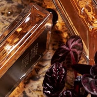 عطر سيرج لوتنس داتيورا نوير او دو بارفيوم 100مل