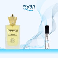 تقسيمة مكس سول انتنس 5مل