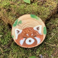 الباندا الحمرا1