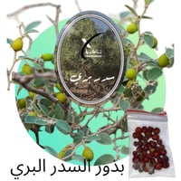 بكج 8 بذور أشجار بريه