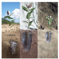 مادة بولمر البوتاسيوم كيلو