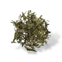 اوراق ستيفيا