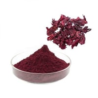 مسحوق الكركدية