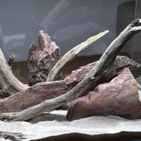 هاردسكيب احترافي متكامل صخور وأخشاب متحجرة ورمل سي...