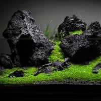 صخرة كبيرة اكواسكيب لحوض السمك