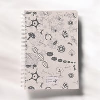 دفتر الاحياء