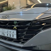 علامة شبك السيارة سيفين ونخلة