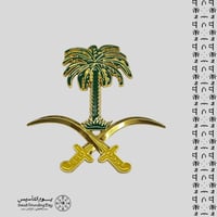 علامة شبك السيارة سيفين ونخلة