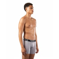 بوكسر رمادي