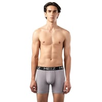 بوكسر رمادي