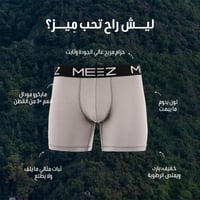 بوكسر رمادي