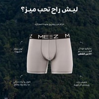 بوكسر رمادي