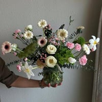 فازه بينك جربيرا