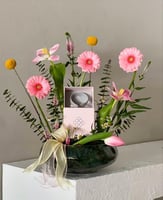 فازه جربيرا