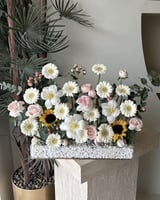 جاردن وايت ستاند